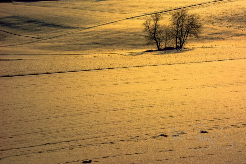 160122 Roggenstein 2247 1024x683